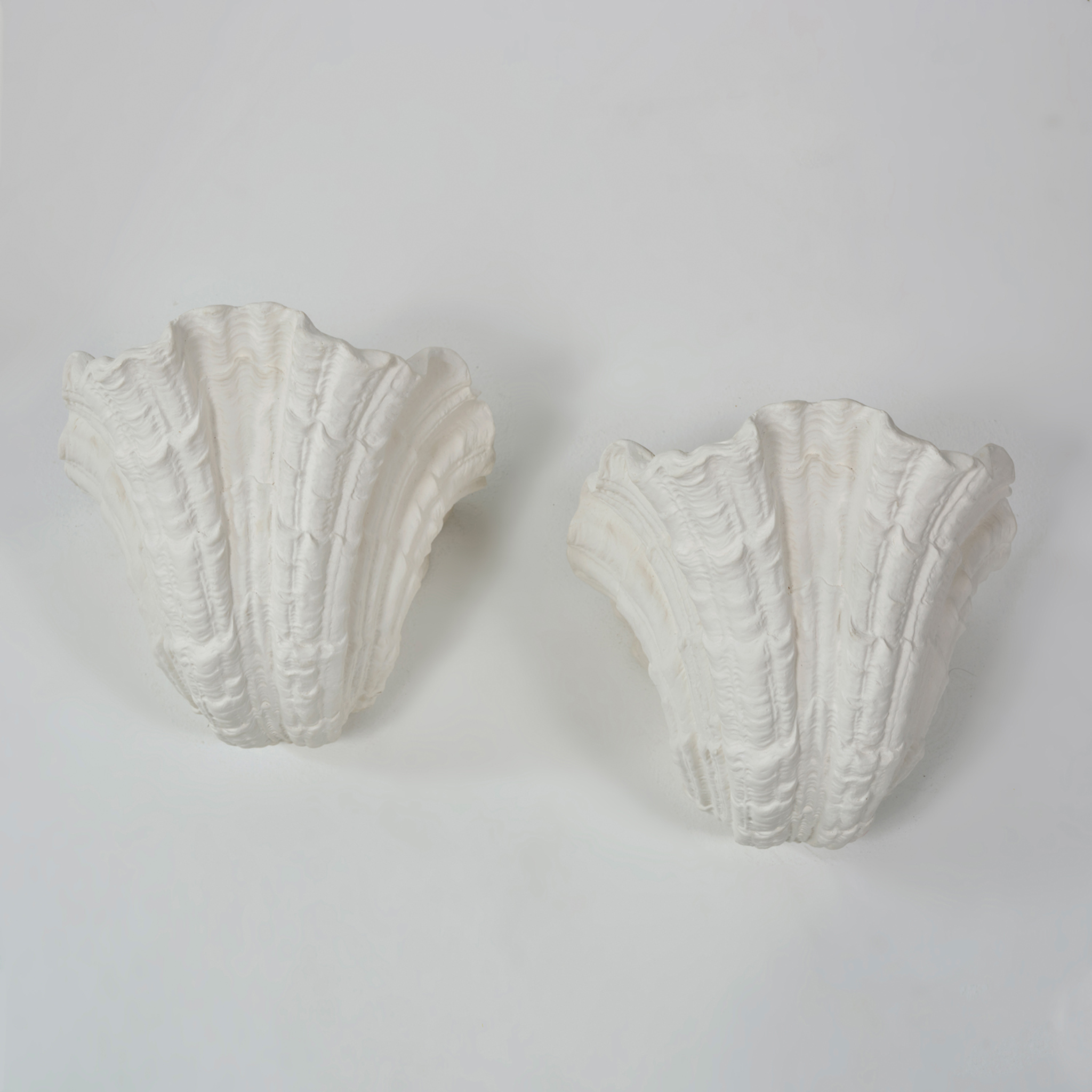 Skalva Gypsum Shell Wall Sconce Sculptural LED Light, Fixtures, Handcrafted