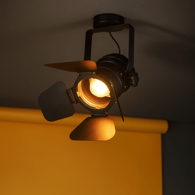 Translation missing: nl.Skena Vintage Barn Door Ceiling Spotlight | Skonne, Small / Cool Light 6000K, Fixtures, Iron